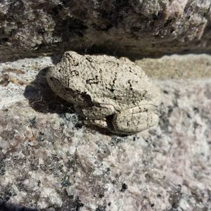 Meet your Posher, Elise